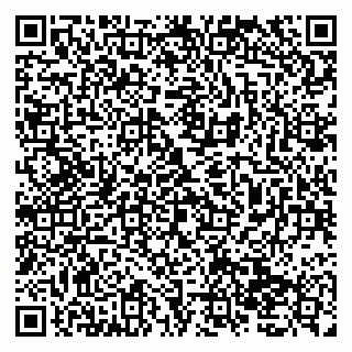 vCard 79138035002