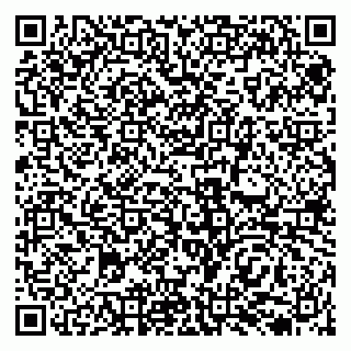 vCard 79138035005