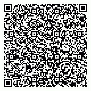 vCard 79138035233