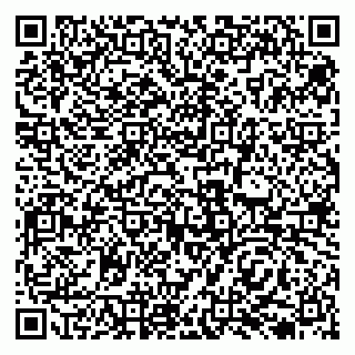 vCard 79138035289