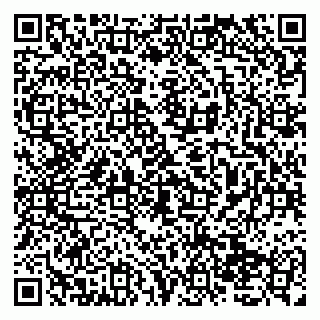 vCard 79138035293