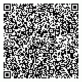 vCard 79138035294