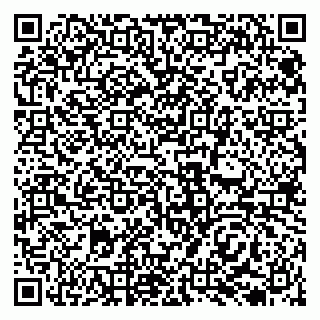 vCard 79138035303