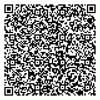 vCard 79138035311