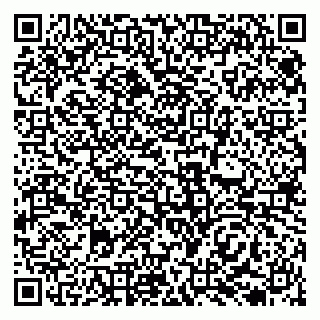 vCard 79138035314