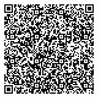 vCard 79138035318