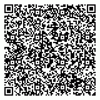 vCard 79138035321