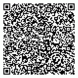 vCard 79138035327