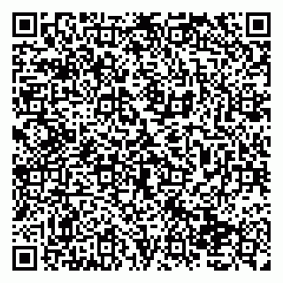 vCard 79138035328