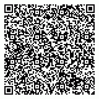 vCard 79138035329