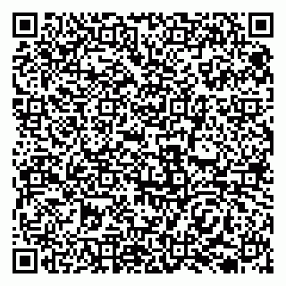 vCard 79138035331
