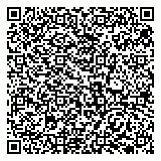 vCard 79138035339