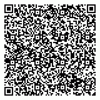 vCard 79138035397