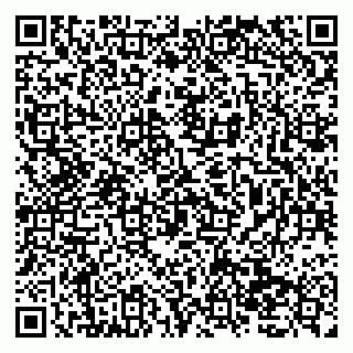 vCard 79138035489