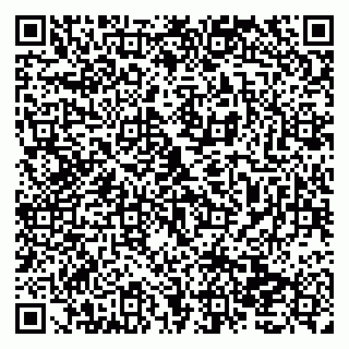 vCard 79138035521