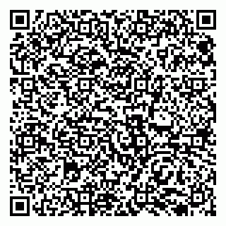 vCard 79138035583