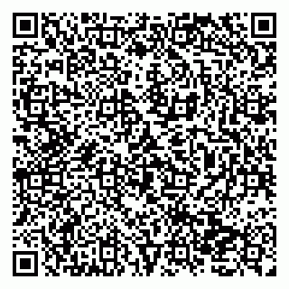 vCard 79138035985
