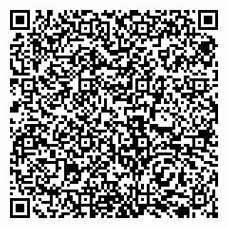 vCard 79138036005