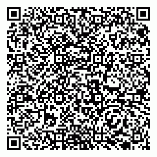 vCard 79138036303