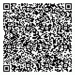 vCard 79138036601