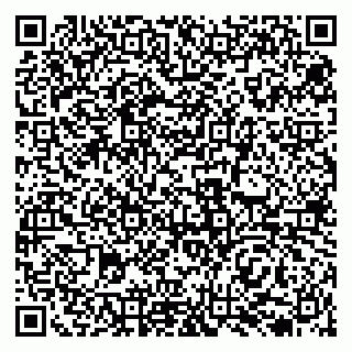 vCard 79138036629