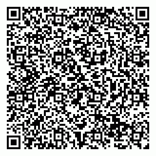 vCard 79138036633