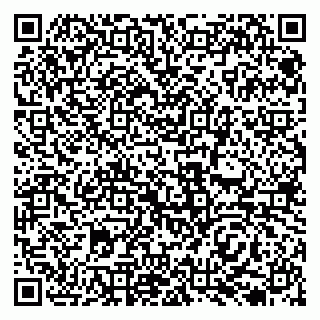 vCard 79138037293