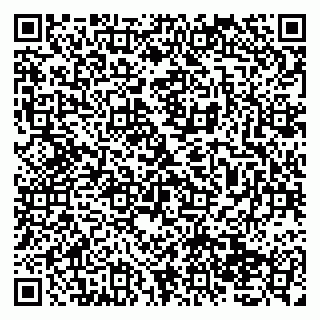 vCard 79138037294