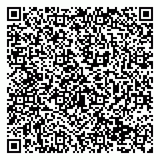 vCard 79138037331