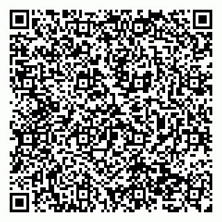 vCard 79138037833