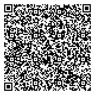 vCard 79138038020