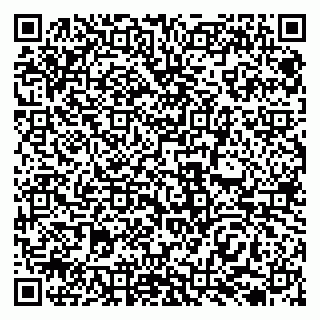 vCard 79138038176