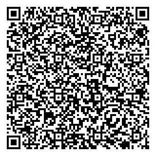 vCard 79138038245