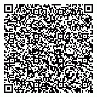 vCard 79138038294