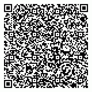 vCard 79138039293