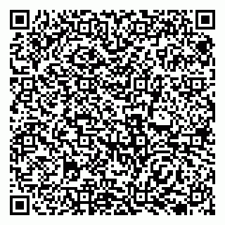 vCard 79138039294