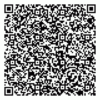 vCard 79138039331