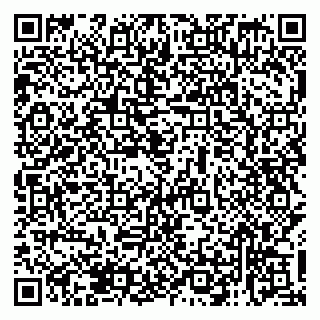 vCard 79138039335