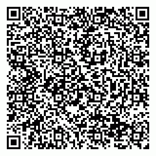 vCard 79138039732