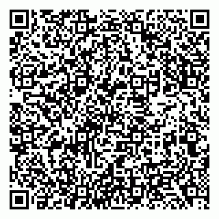 vCard 79138039733