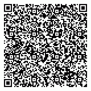 vCard 79138039741