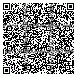 vCard 79138040003