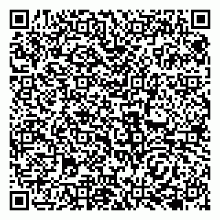 vCard 79138040294