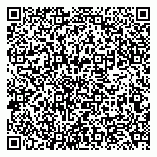 vCard 79138040323
