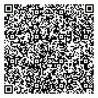 vCard 79138040331
