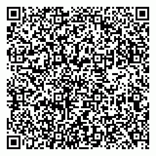 vCard 79138040802