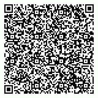 vCard 79138040901
