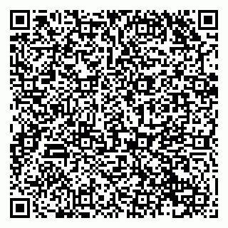 vCard 79138040907