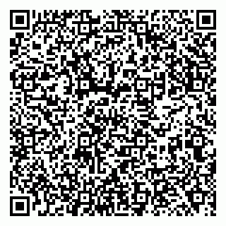 vCard 79138040965