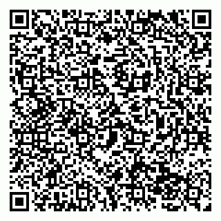 vCard 79138041002